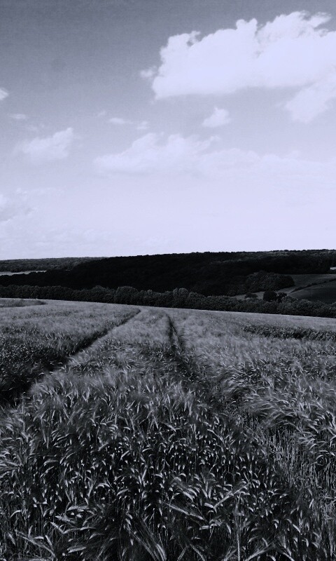 Бескрайние просторы обои