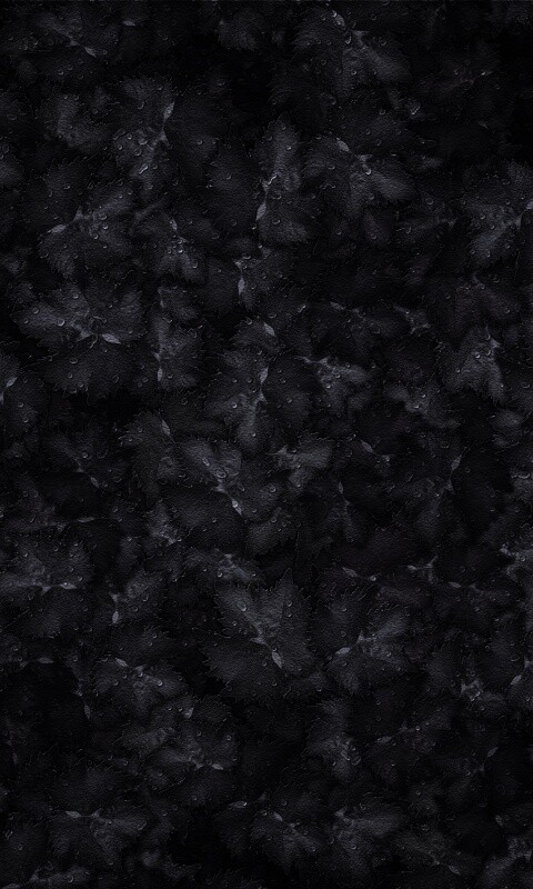 Осенние листья обои