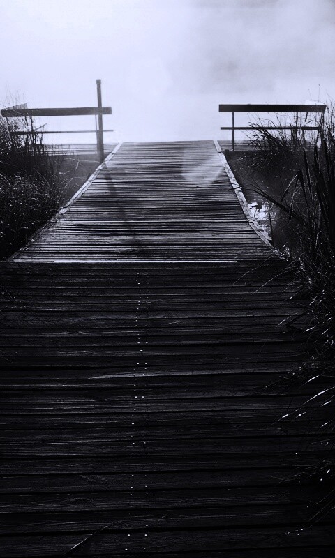 Выход к реке обои