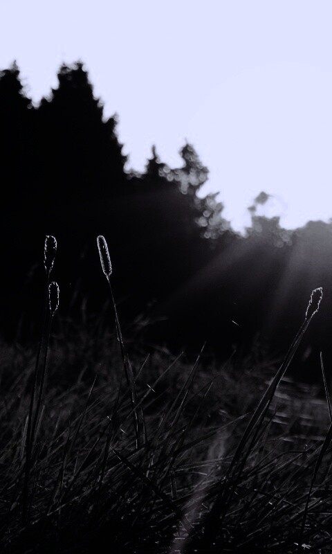 Красота природы обои