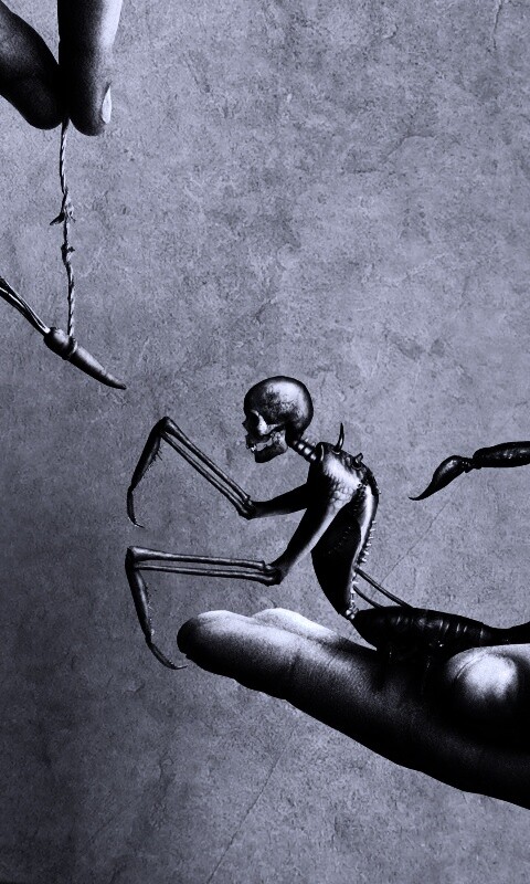 Кормёжка смерти обои