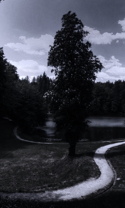 Прекрасная природа обои