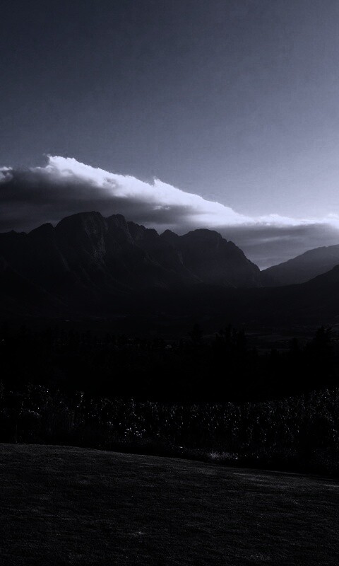 Виноградники в Африке обои