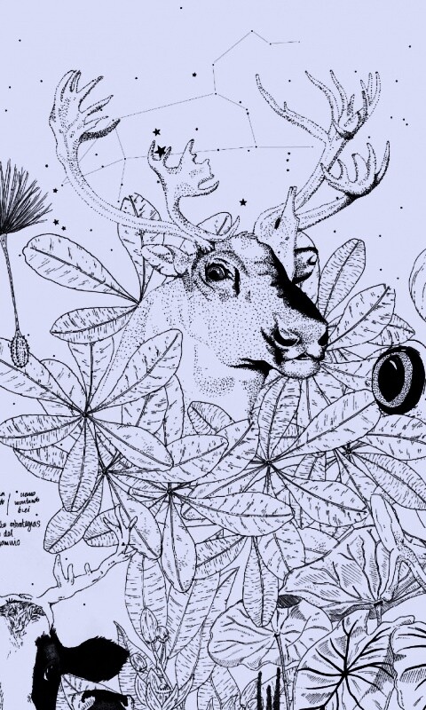 Животные на рабочий стол Apple обои