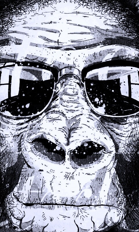 Макака в очках обои