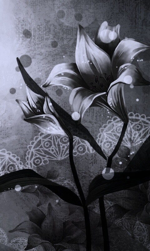 Красивое изображение лилии обои