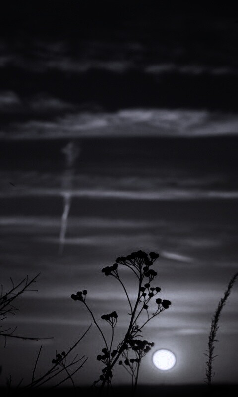 Степной закат обои