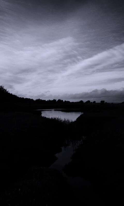 Канава и пруд обои