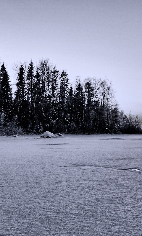 Зимний закат обои