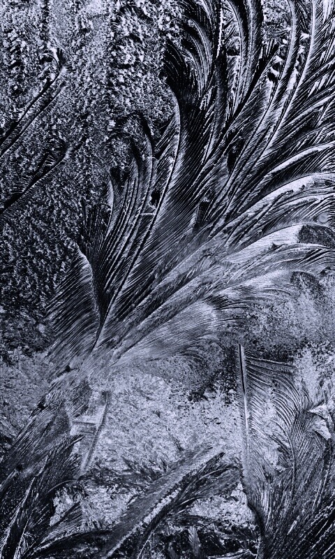 Зимние узоры обои