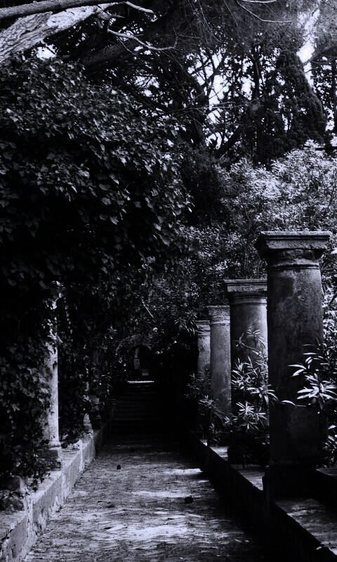 Галерея зимнего сада обои