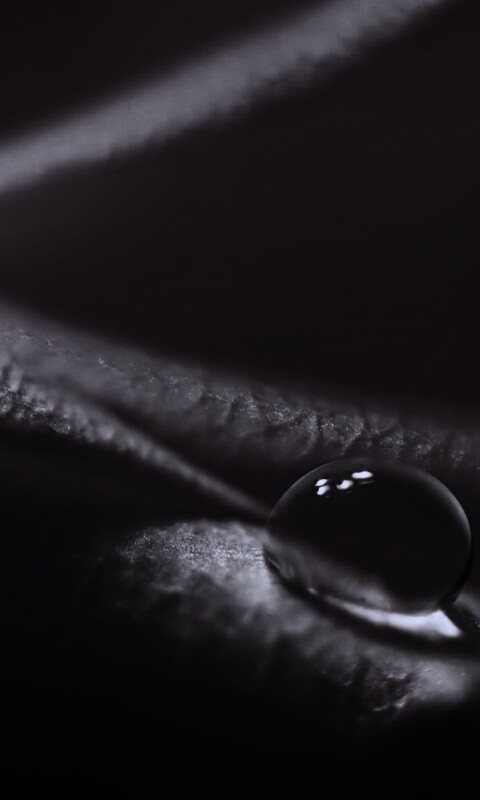 Капелька обои