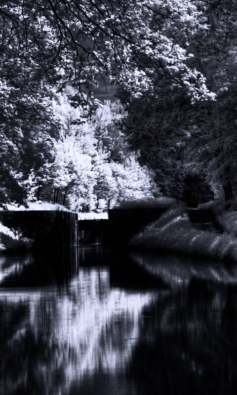 Замёрзжий канал обои