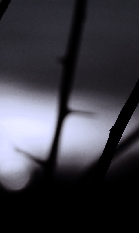 Закат солнца в поле обои