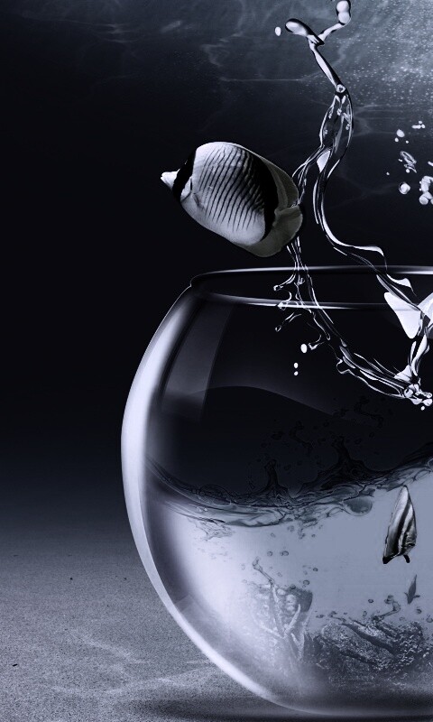 Аквариум с рыбками обои