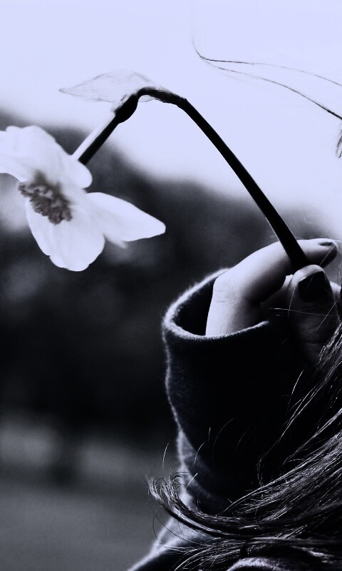 Девушка с нарциссом в руке обои