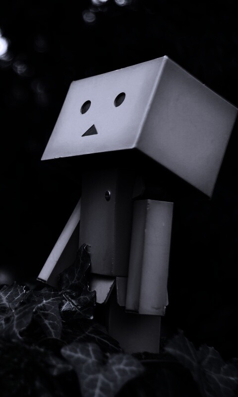 Danbo смотрит вверх обои
