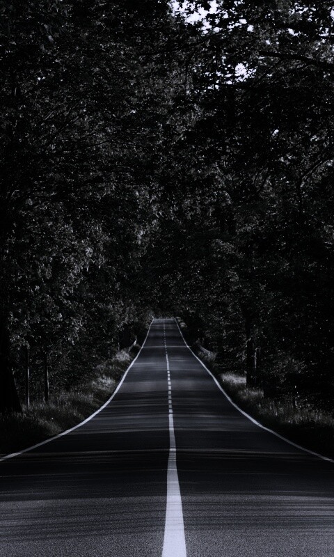 Под горку и в лес обои