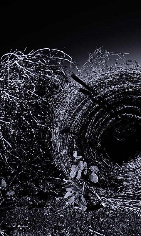 Клубок сена обои