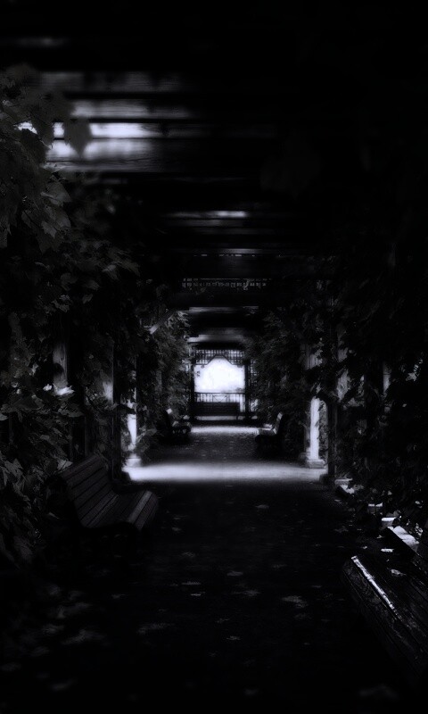 Узкая аллейка обои