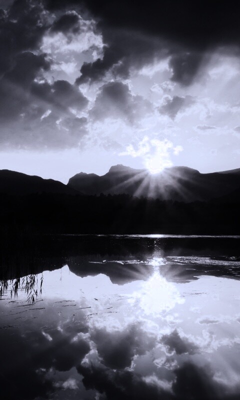 Закат за лесом обои