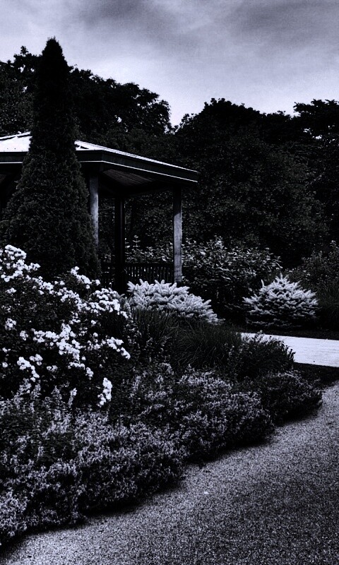 Ландшафтный дизайн обои