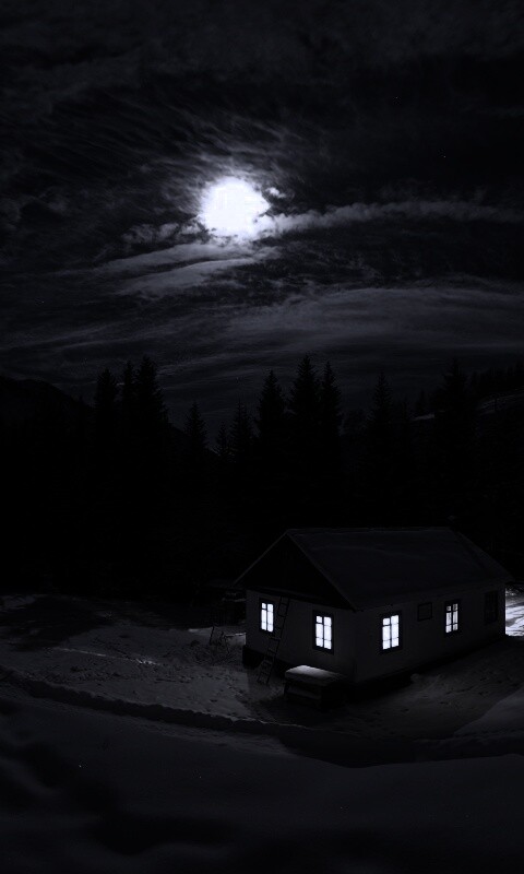 Один в зимнем лесу обои