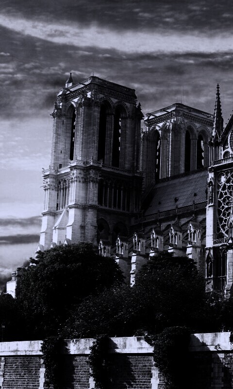 Собор парижской Богоматери обои