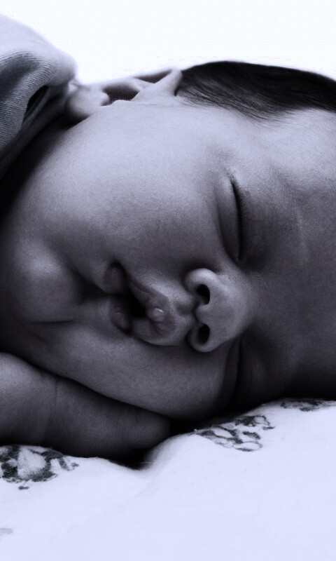 Спящая прелесть обои