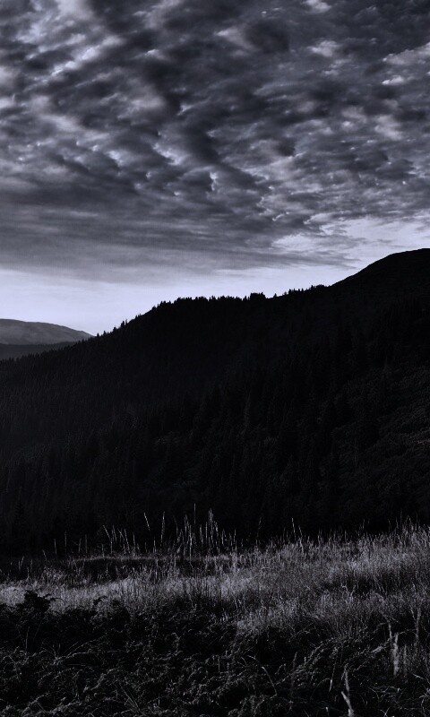 Предгорье обои