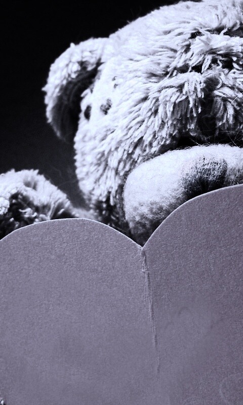 Мишка с сердцечком обои