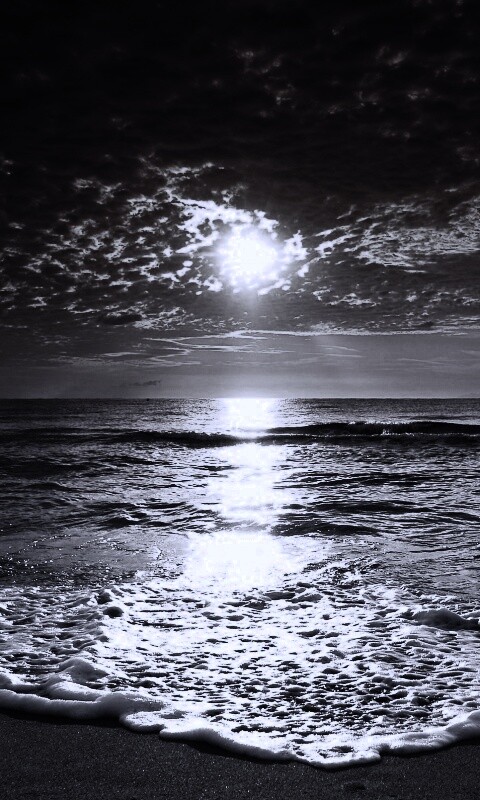 Берег моря в лучах заката обои