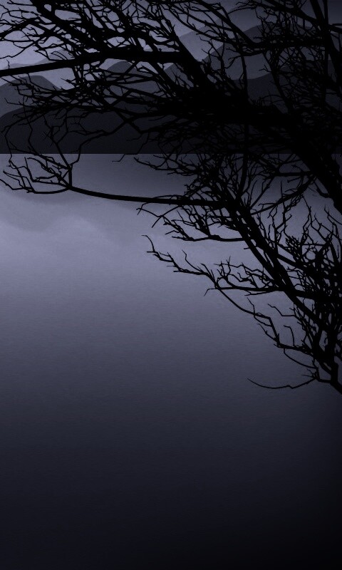 Ветка над вечерним озером обои