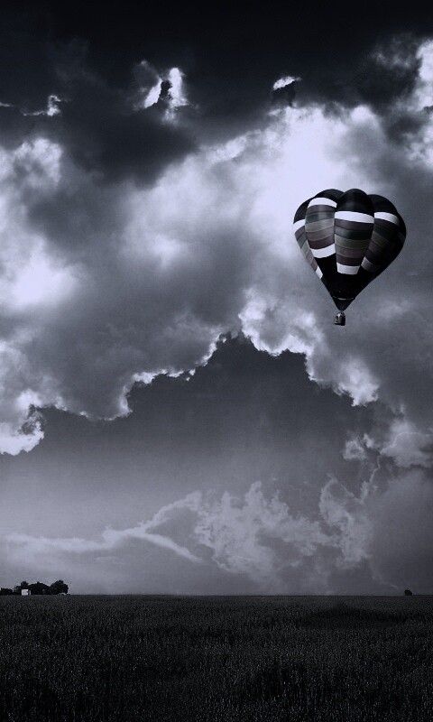 Воздушный шар над зеленым лугом обои