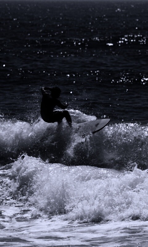 Сёрфенгист поймал волну обои