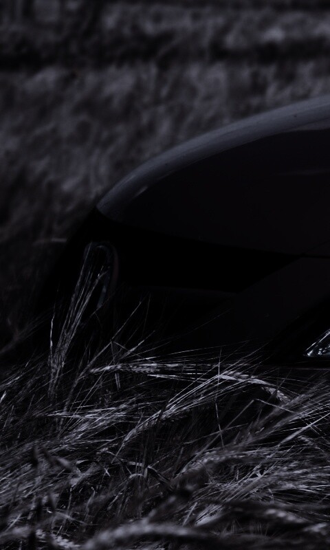 Мазда в пшенице обои