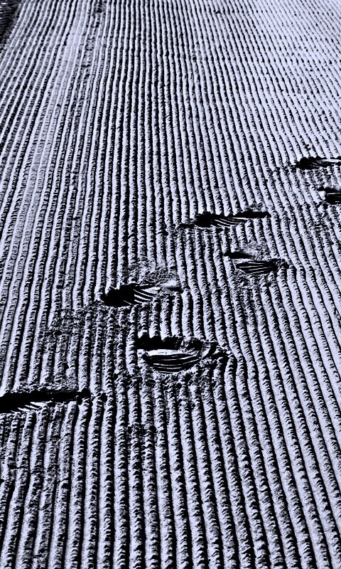 Следы на песке обои