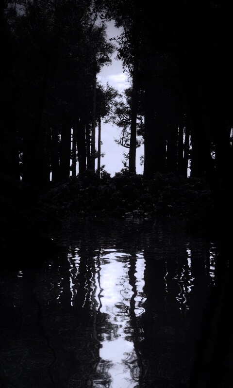 Болото в лесу обои