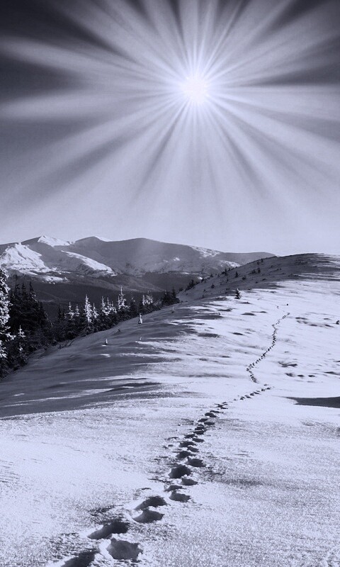 Холодные лучи зимнего солнца обои