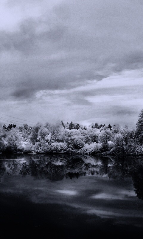 Зимний пейзаж обои