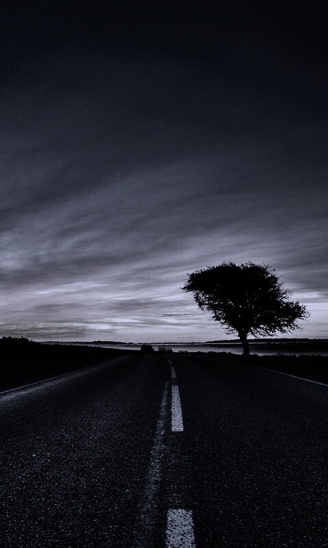 Дорога обои