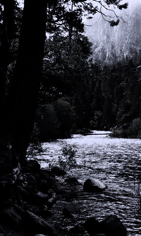 Национальный заповедник обои