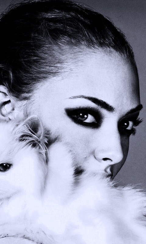 Девушка с кошкой обои