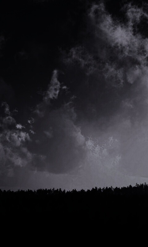 Закат над лесом обои