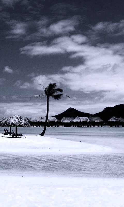 Побережье Бора-бора обои