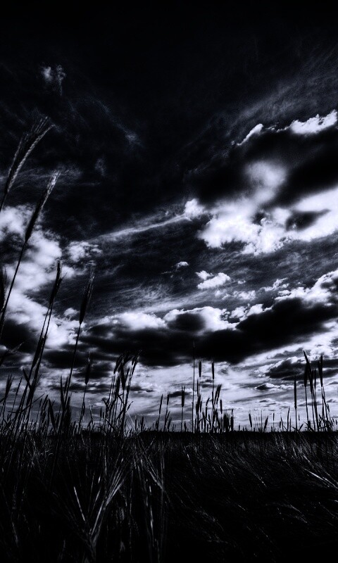 HDR Поле обои