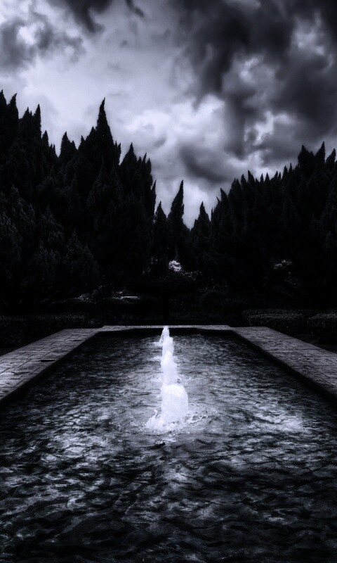 Фонтан в заповеднике обои