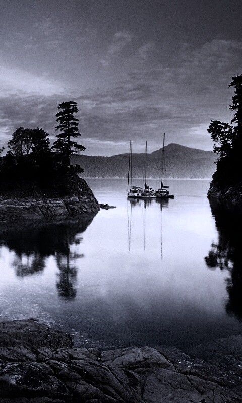 Яхты в заливе обои