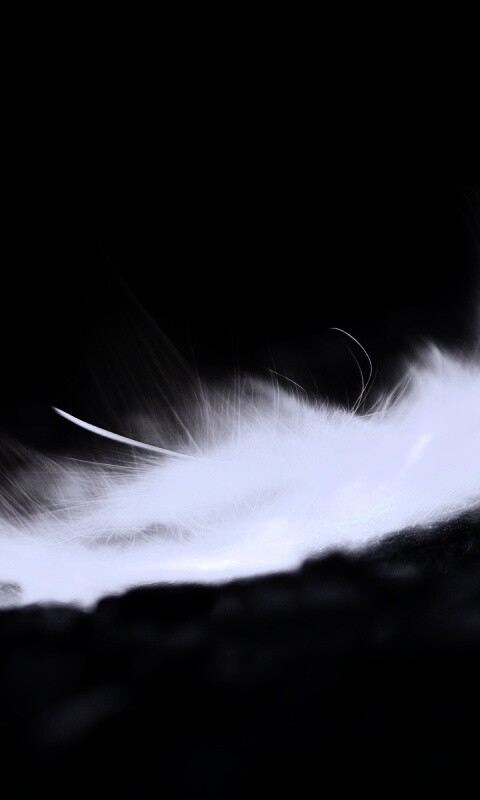 Вспышка обои