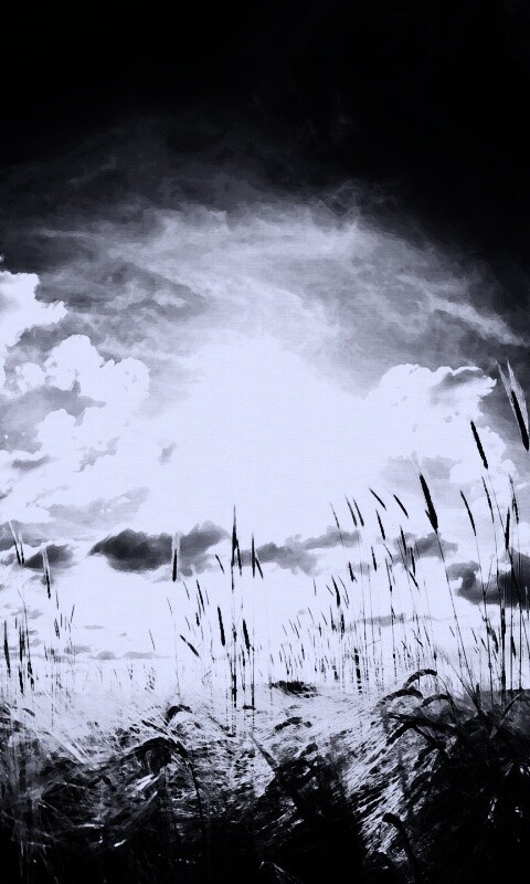 Сюрреалистичная трава обои